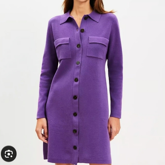 LOFT Pocket Mini Sweater Violet Purple Long Sleeve Cotton Button Down Dress M - Picture 1 of 9